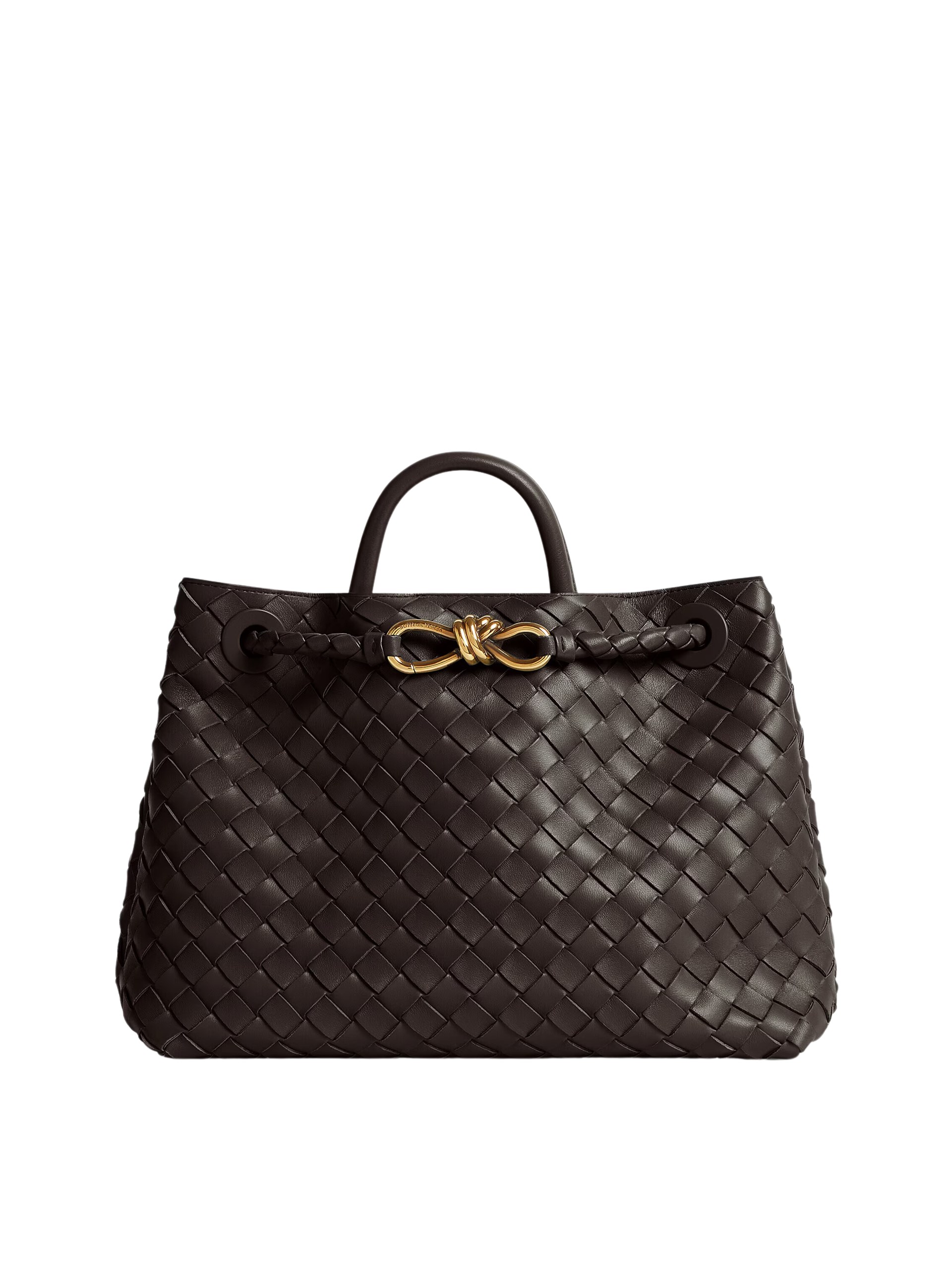 Dark brown Bottega Veneta Medium Andiamo bag in soft Intrecciato leather