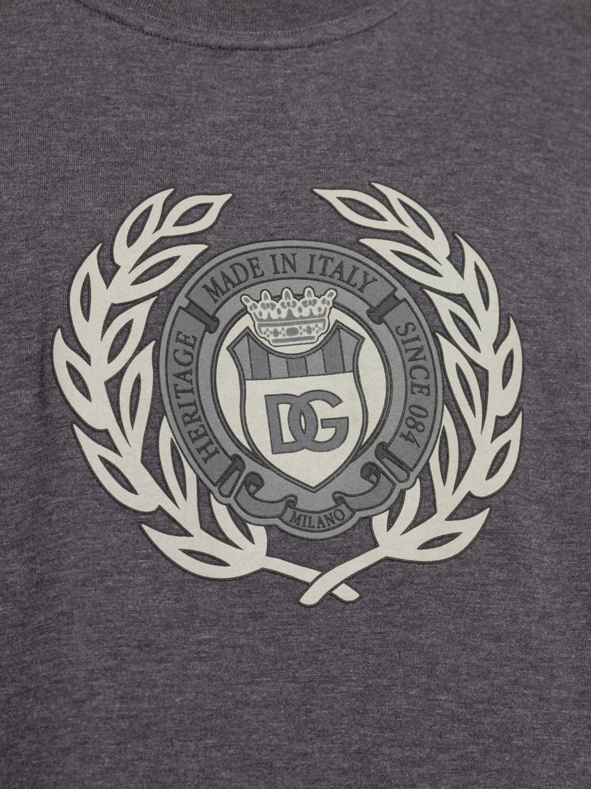 Dolce&Gabbana grey printed t-shirt